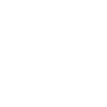 European Social Fund